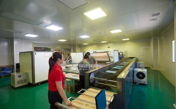 金属双极板的橡胶垫成型工艺